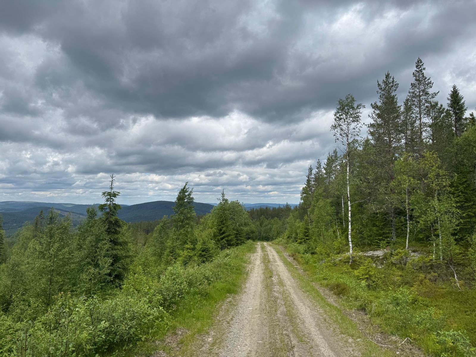 Forest road on the ridge under heavy cloud