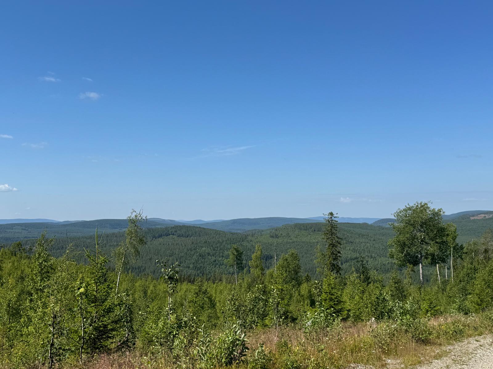 Distant hills seen across the treetops from Hemliden