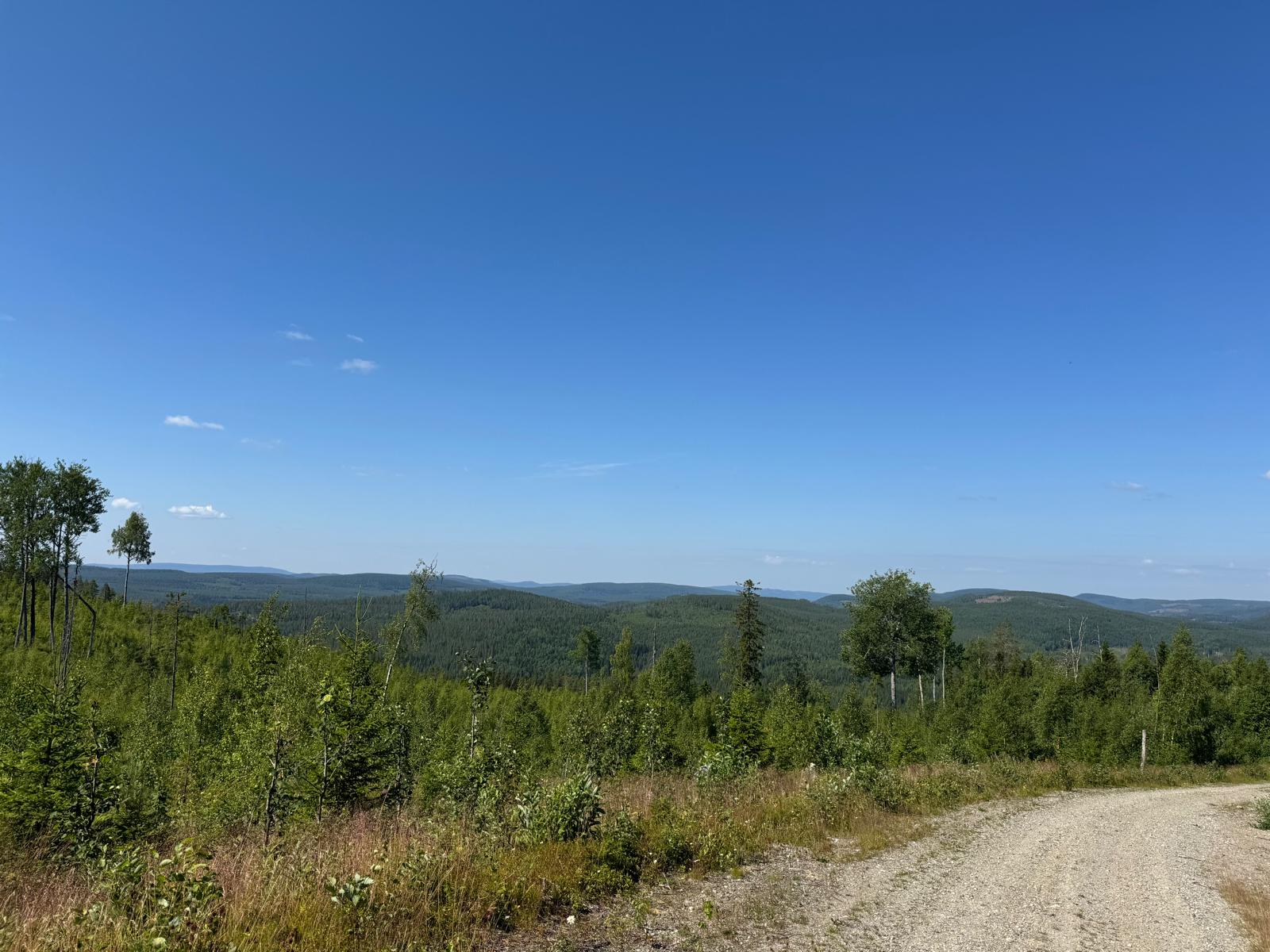 Panorama of forest ridges under clear blue sky