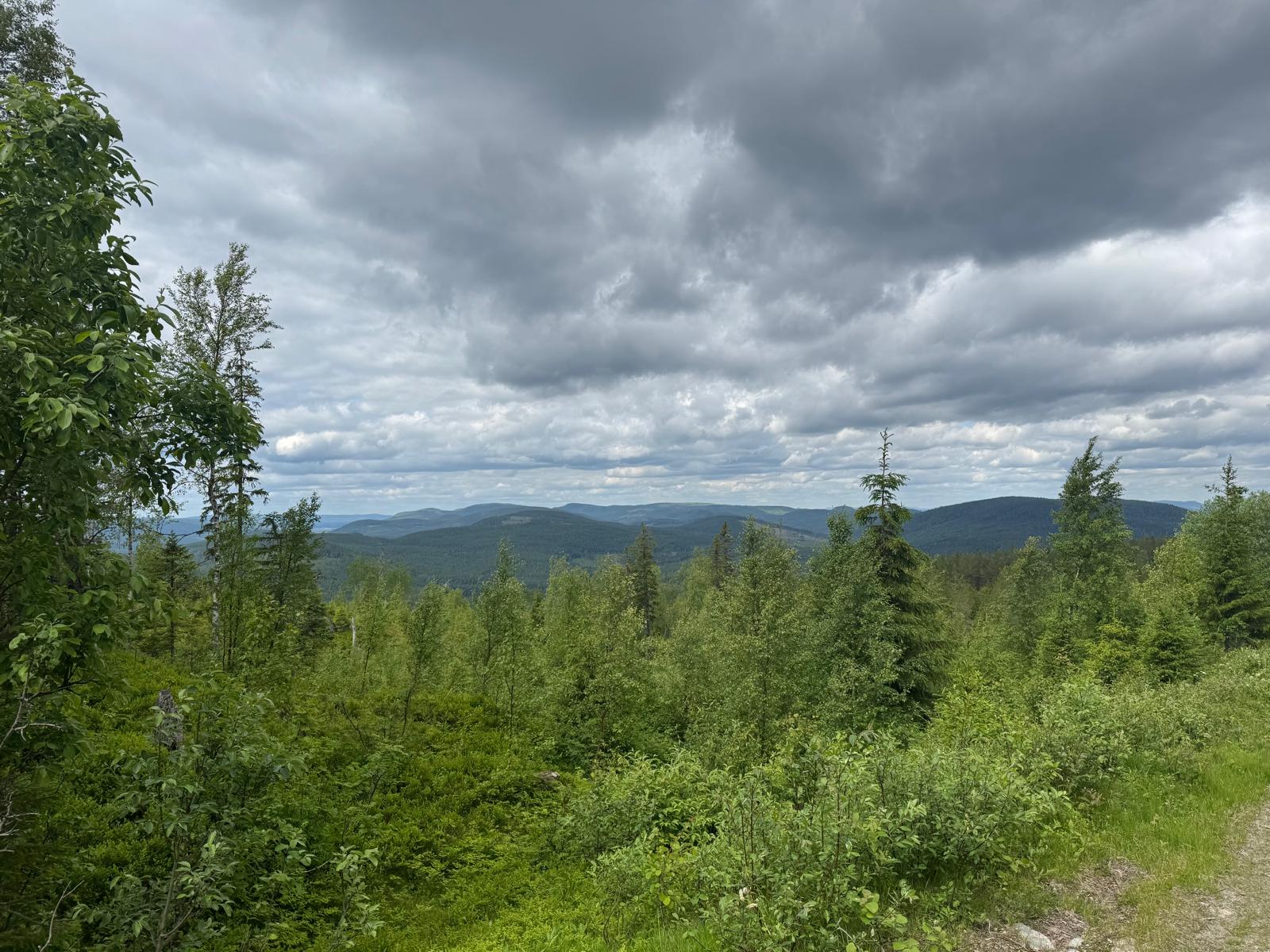 View over forested hills under a grey sky