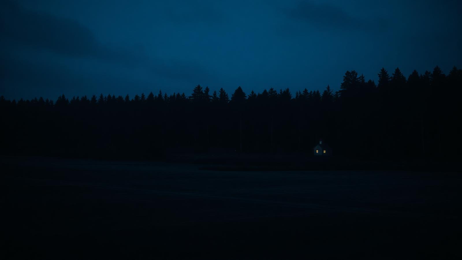 The forest edge near Trehörningsjö after dark