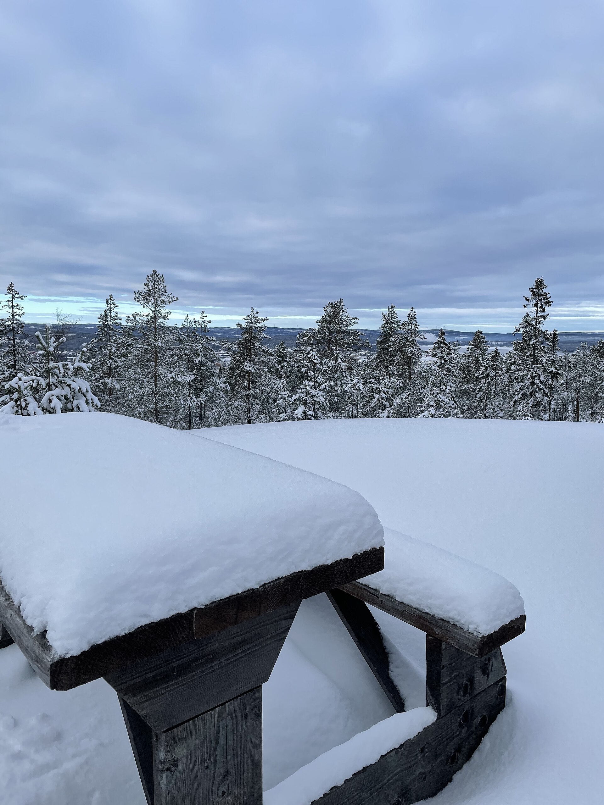 Winter in Härnösand