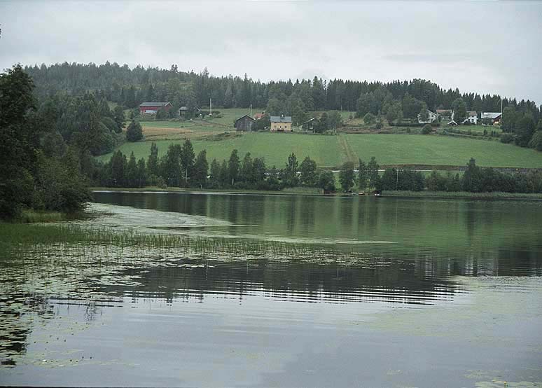Aerial view over the farmland and coast of Nordingrå