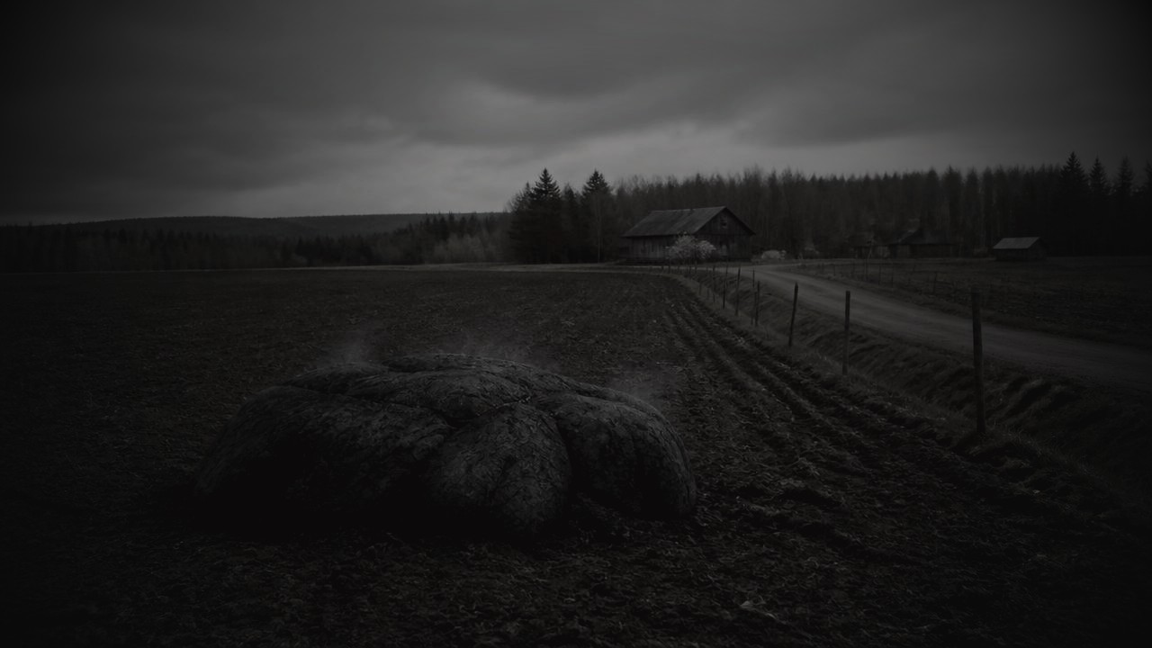 A dark stone-like object resting on a ploughed field beside a country road