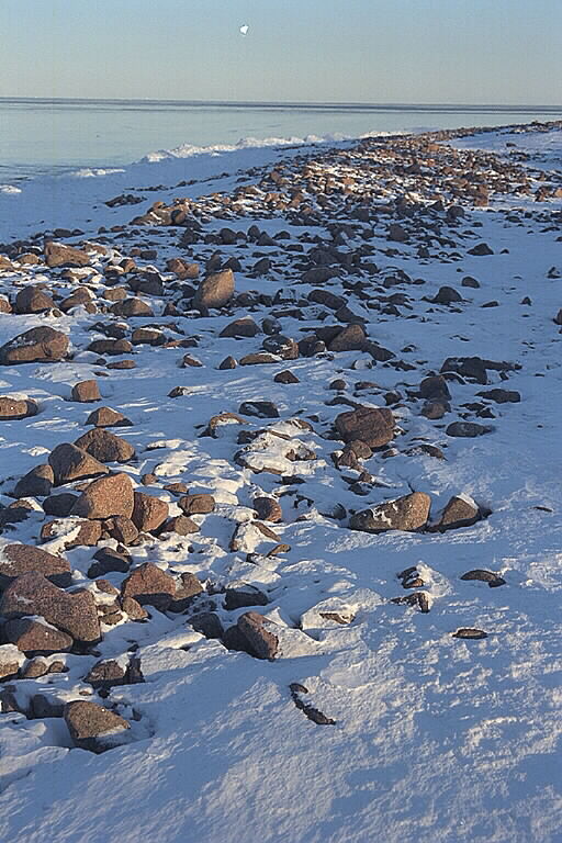 A winter view of the polished stone shingle fields at Norrfällsviken