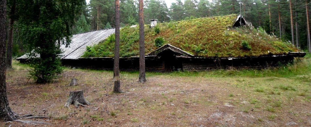 A reconstructed Iron Age longhouse beside ancient burial mounds and a dark pine grove at twilight
